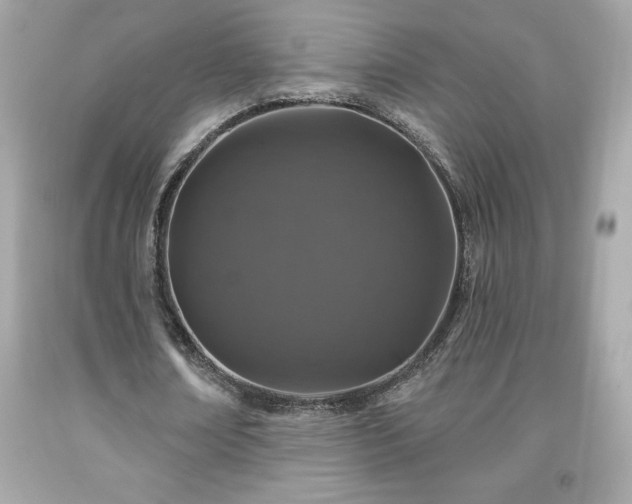 X0000091950674200709131204