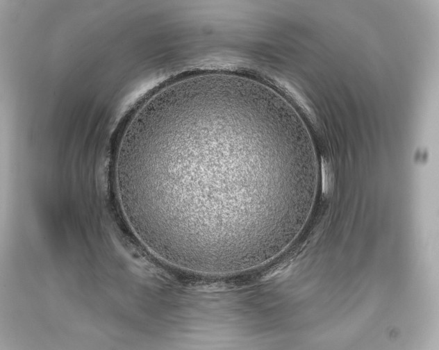 X0000091950675200709131204