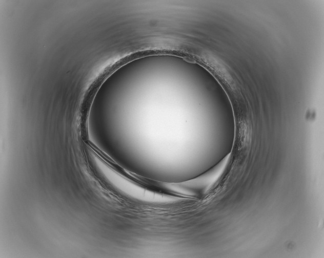 X0000091950676200709131204