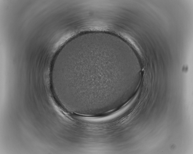 X0000091950677200709131204