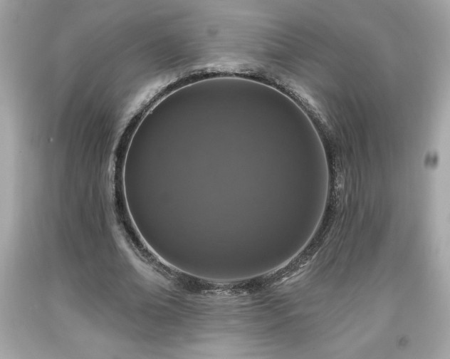 X0000091950678200709131204