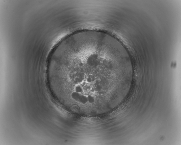 X0000091950679200709131204