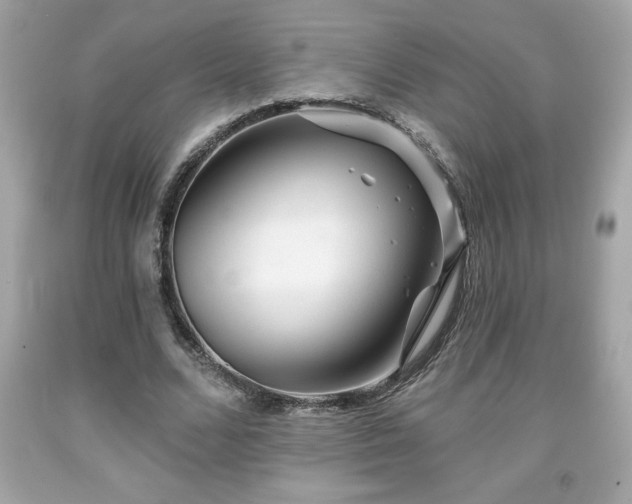 X0000091950680200709131204