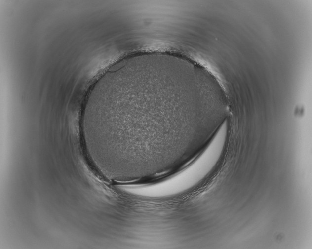X0000091950681200709131204