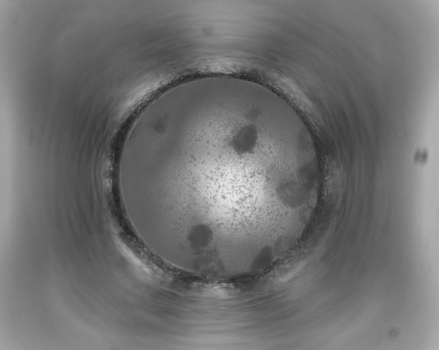 X0000091950683200709131204