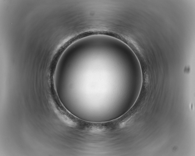 X0000091950684200709131204