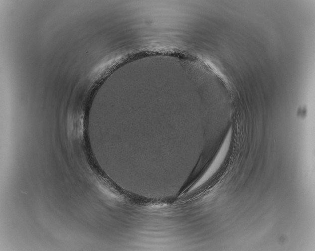 X0000091950685200709131204