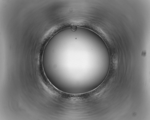 X0000091950686200709131204