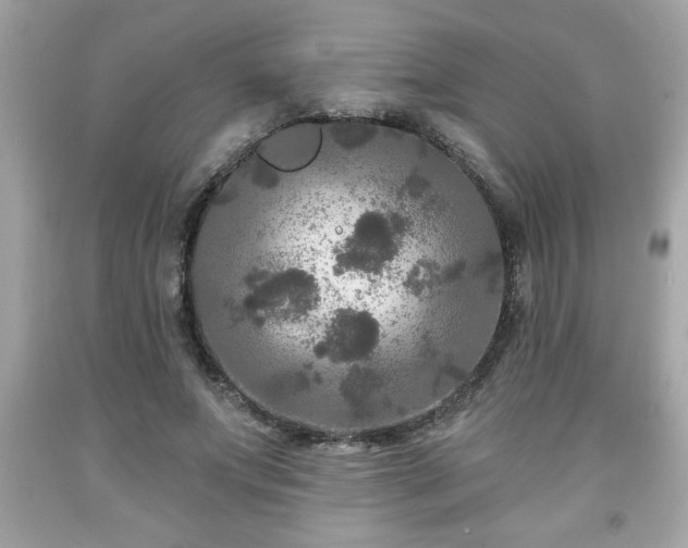 X0000091950687200709131204