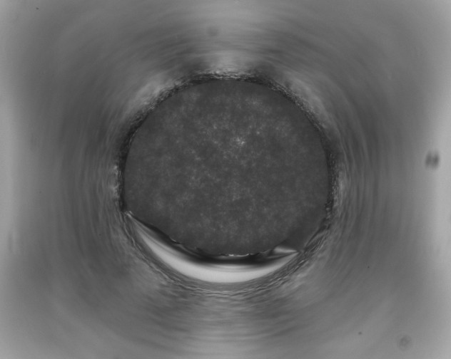 X0000091950689200709131204