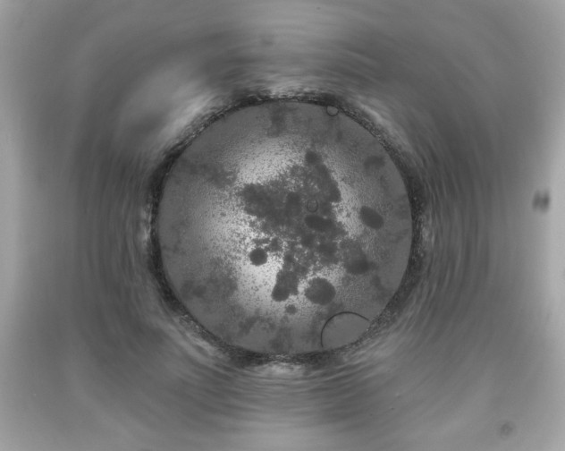 X0000091950691200709131204