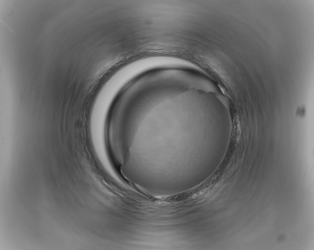 X0000091950692200709131204