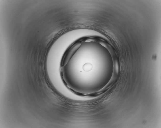 X0000091950693200709131204