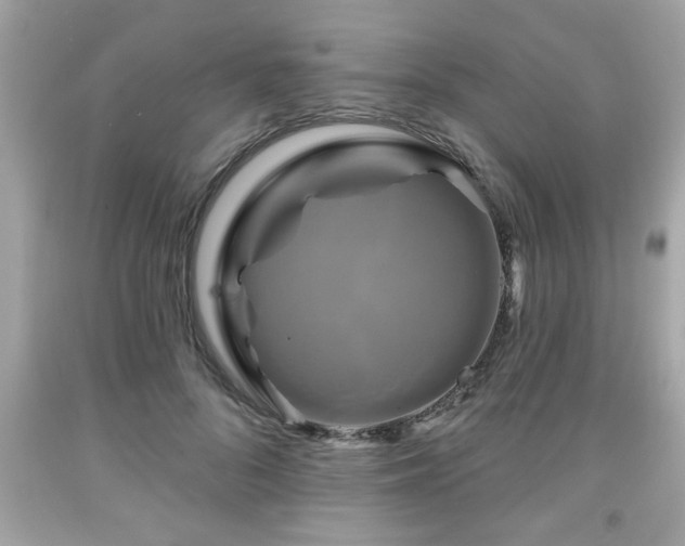 X0000091950696200709131204