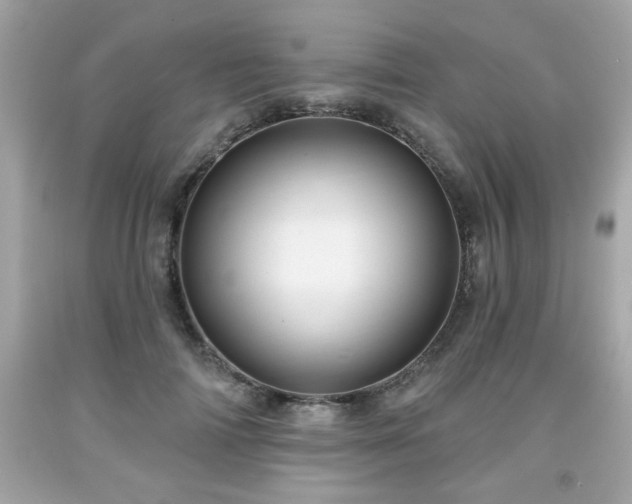 X0000091950698200709131204