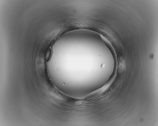 X0000091950700200709131204