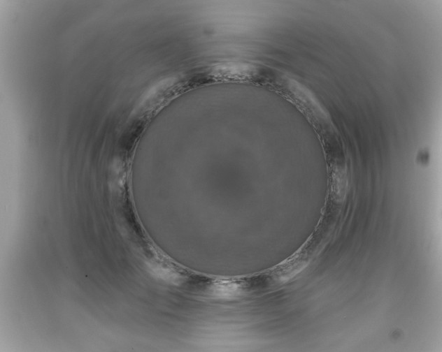 X0000091950701200709131204