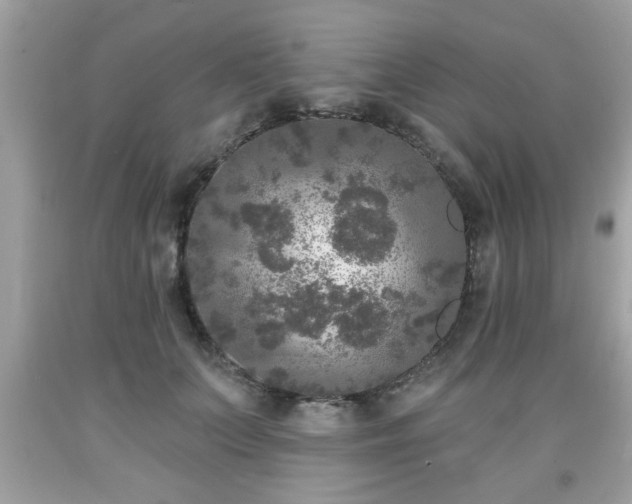 X0000091950703200709131204
