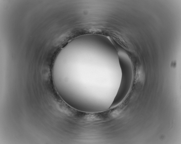 X0000091950704200709131204