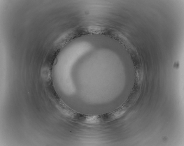 X0000091950705200709131204