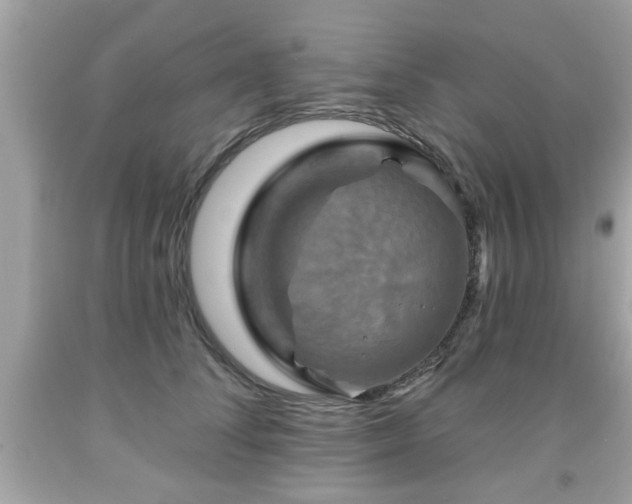X0000091950708200709131204