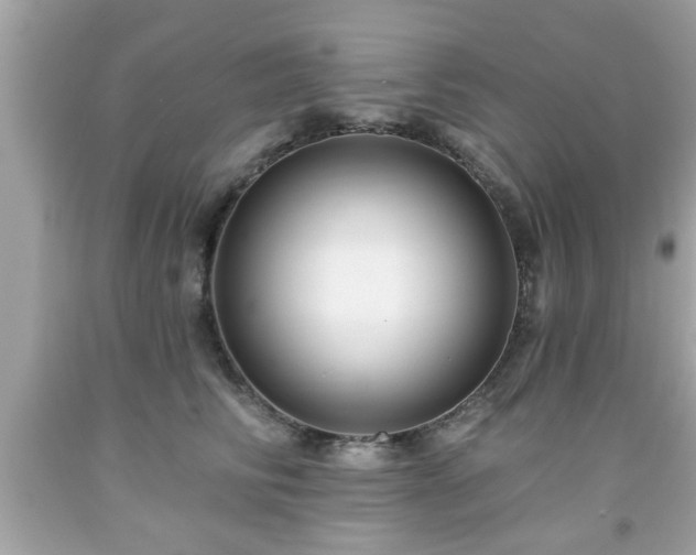 X0000091950710200709131204