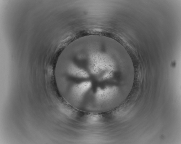X0000091950711200709131204
