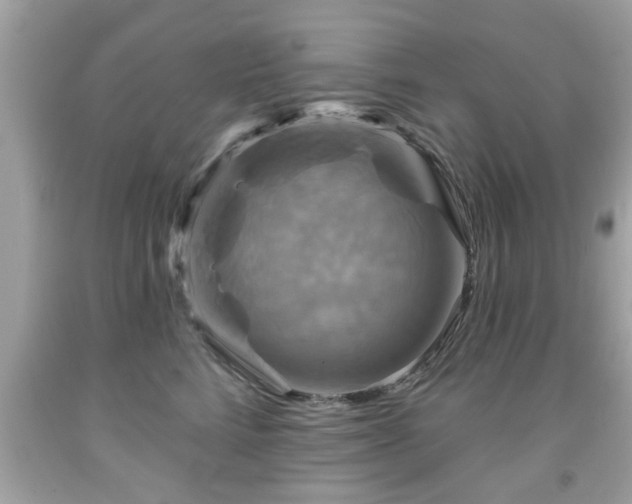 X0000091950712200709131204