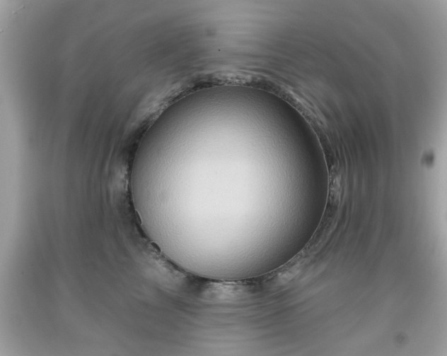 X0000091950713200709131204