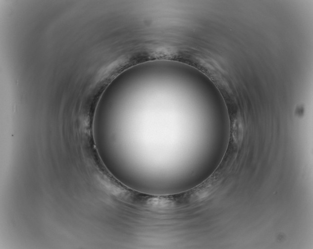 X0000091950714200709131204