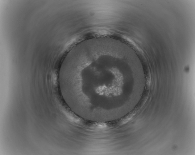 X0000091950715200709131204