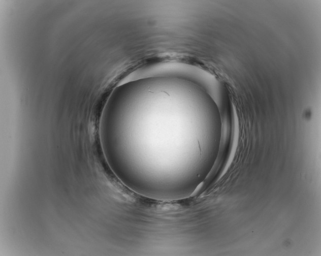 X0000091950716200709131204