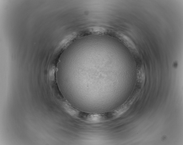X0000091950717200709131204