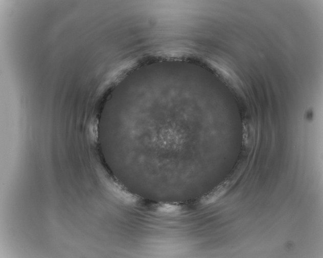 X0000091950718200709131204
