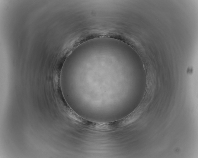X0000091950720200709131204