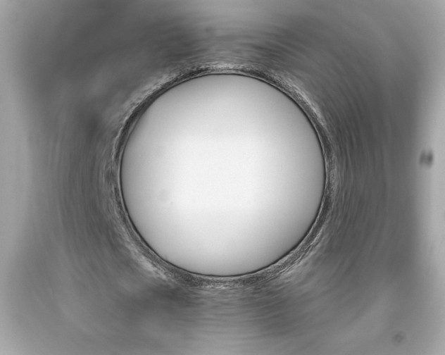X0000091950721200709131203