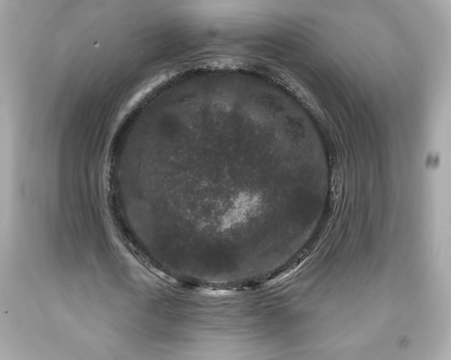 X0000091950722200709131203
