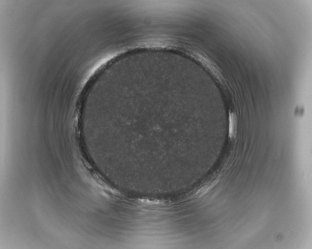 X0000091950723200709131203