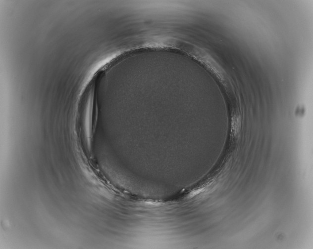 X0000091950724200709131203