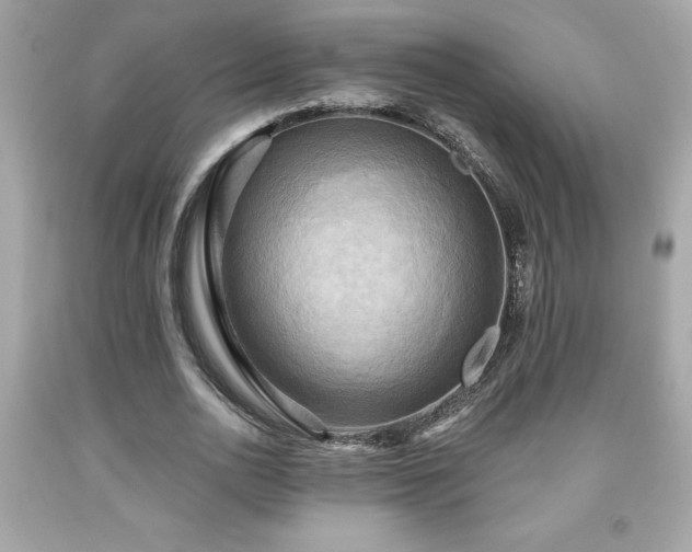 X0000091950726200709131203