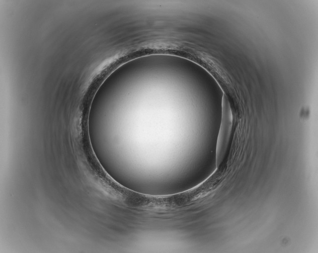 X0000091950727200709131203