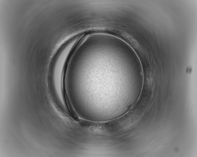 X0000091950728200709131203