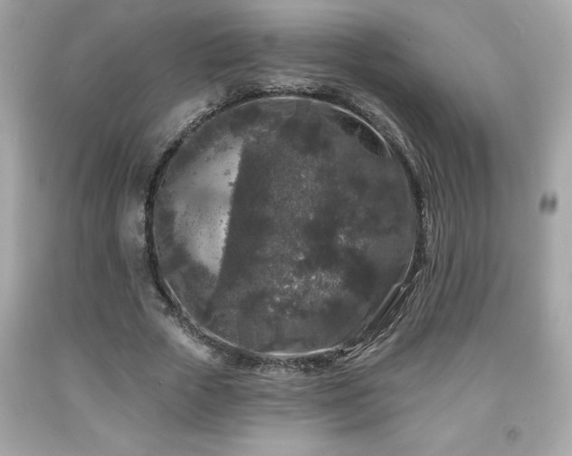 X0000091950729200709131203