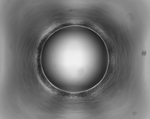 X0000091950730200709131203