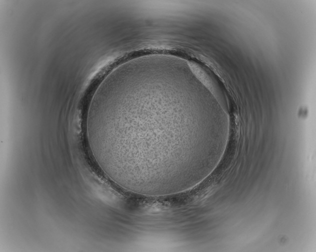 X0000091950731200709131203