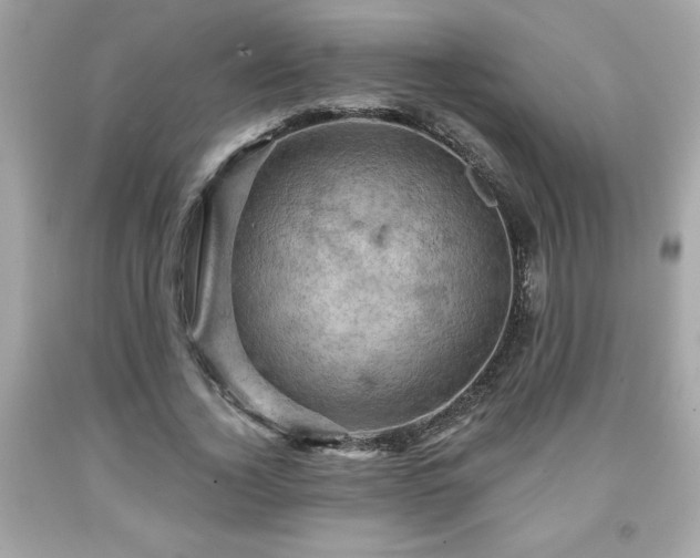 X0000091950732200709131203