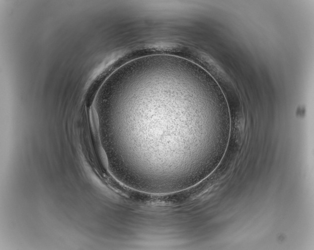X0000091950734200709131203