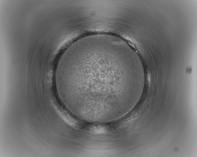 X0000091950735200709131203