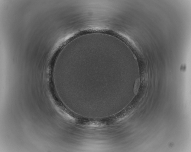 X0000091950736200709131204