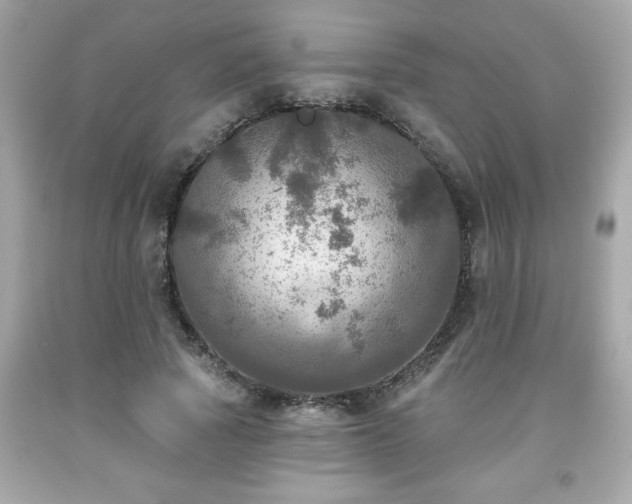 X0000091950737200709131204
